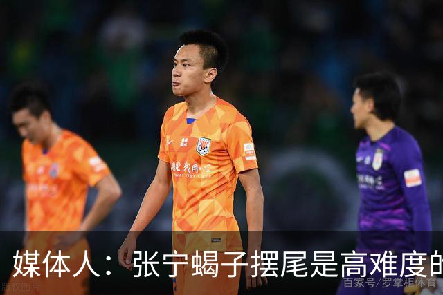 媒体人：张宁蝎子摆尾是高难度的武术技击动作 对篮球裁判有些超纲