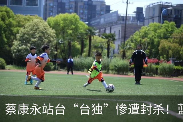蔡康永站台“台独”惨遭封杀！蓝心湄神级切割：别带我，我要回长沙老家“买菜”了